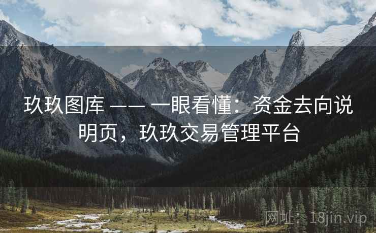玖玖图库 —— 一眼看懂：资金去向说明页，玖玖交易管理平台